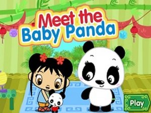 Meet the Baby Panda Online Care Game