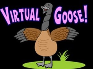 Virtual Goose Online Color Matching Puzzle Game