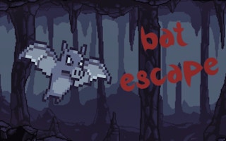 Bat Escape: Flappy Flyer Adventure