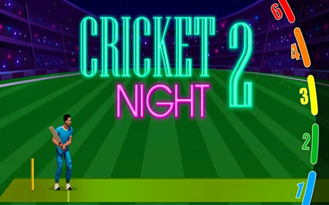Cricket Night 2 - Arcade Cricket Game