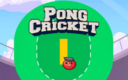 Pong Cricket - Arcade Sports Game