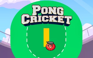 Pong Cricket - Arcade Sports Game