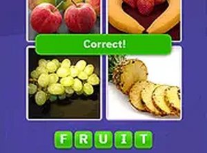Visual Vocabulary Challenge